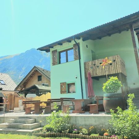 Apartments Mojstrana - Kekec المظهر الخارجي الصورة